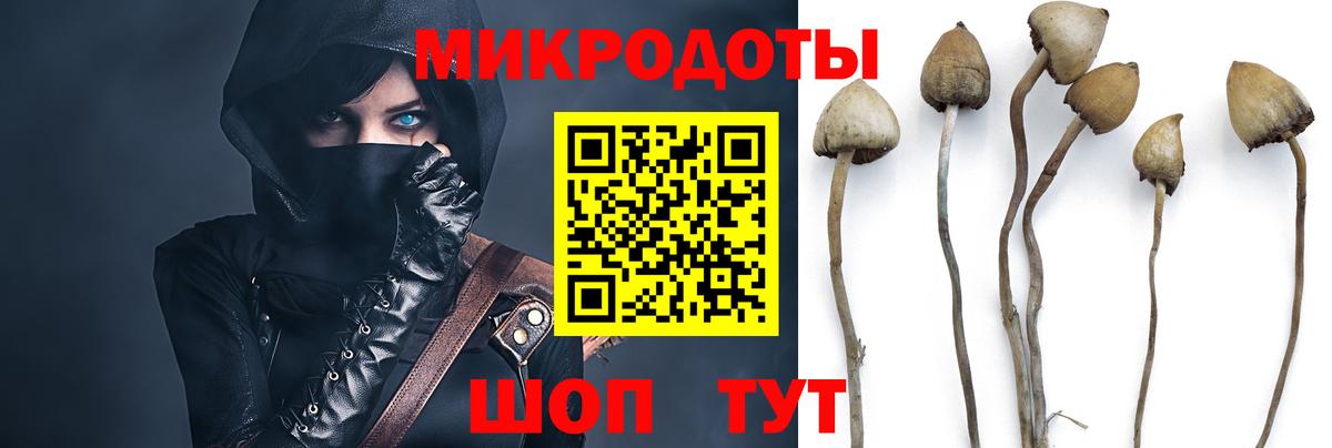 Кумертау  Галлюциногенные грибы прущие грибы  Псилоцибиновые грибы Cubensis  Вход с VPN 